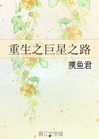 重生之明星之路,闪耀娱乐圈巅峰之路